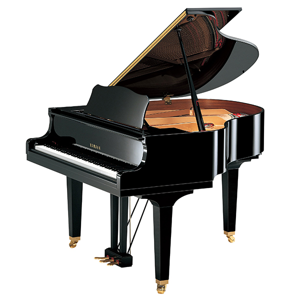 Yamaha GB1K