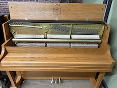 Yamaha P22