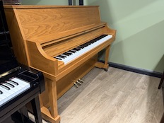 Yamaha P22