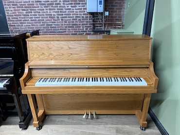yamaha P22