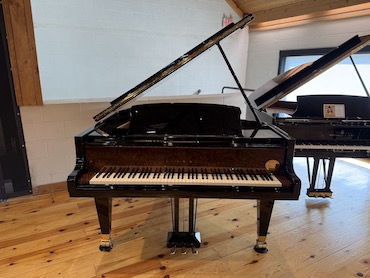 Bösendorfer 175