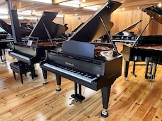 Bösendorfer 185