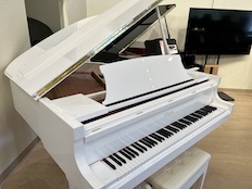 Essex EGP-155