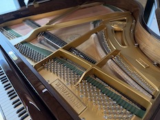 Hoffman by Bechstein T161