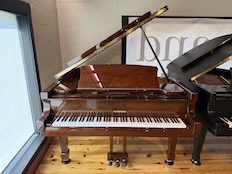 Hoffman by Bechstein T161