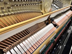 Kawai K500