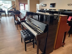 Kawai K300