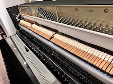 Kawai K300