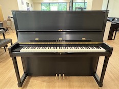 Kawai K500
