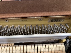 Kawai K605T