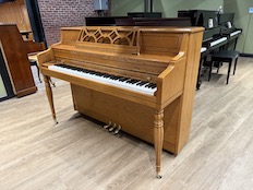 Kawai 502