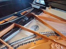 Schimmel SP182