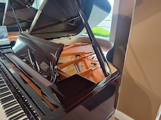 Schimmel SP182