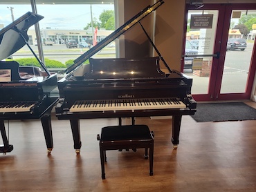 schimmel sp182
