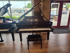 Schimmel SP182