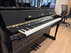 Schimmel C130