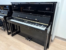 Schimmel C130