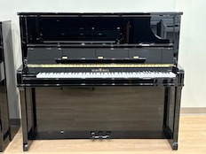 Schimmel C130