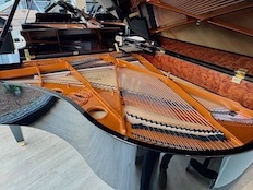 Schimmel C189