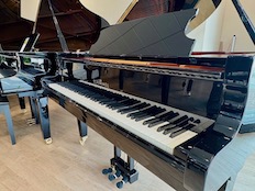 Schimmel C189