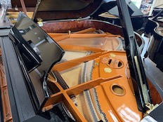 Schimmel GP169