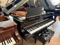 Schimmel GP169