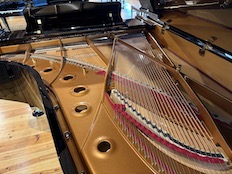Shigeru Kawai SK6