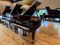 Shigeru Kawai SK6