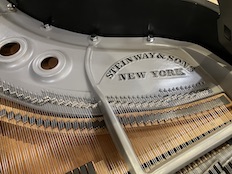 Steinway L