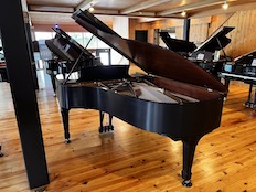 Steinway B