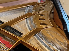 Steinway M