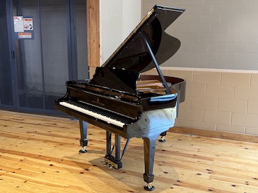 steinway M