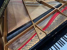 Steinway M