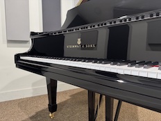 Steinway M