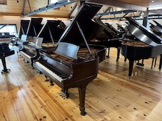 Steinway O