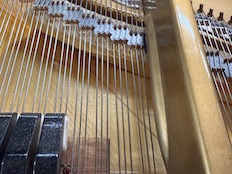 Steinway O