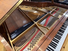 Stienway S