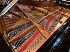 Yamaha C6