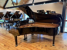Yamaha C6