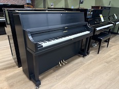 Yamaha P2