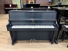 Yamaha P2