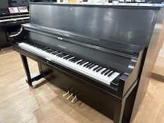 Yamaha P22