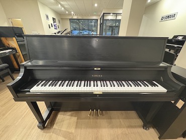 yamaha P22