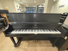 Yamaha P22