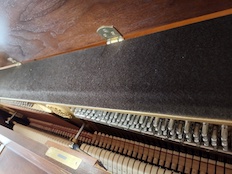 Yamaha P22