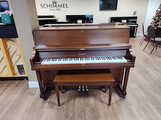Yamaha P22