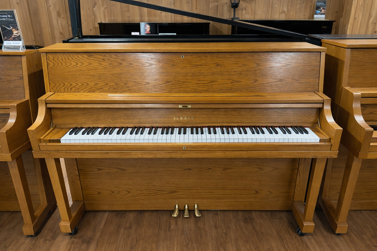 Yamaha P22