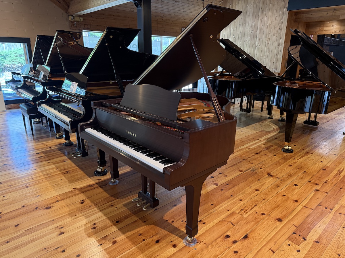 Yamaha C1