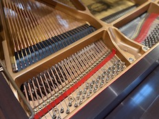 Yamaha C1