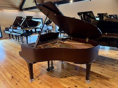 Yamaha C1